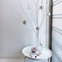 TORKA トルカ ドライブーケ, 柳/ツイスト ホワイト, 150 cmの画像