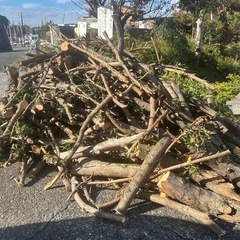 焚き火用
の画像