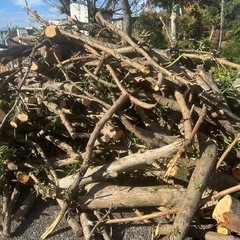 焚き火用
の画像