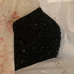 GEX　60cm水槽　漆黒砂利付きの画像