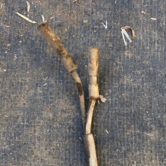 2\1フルタ強風扇 扇風機　の画像