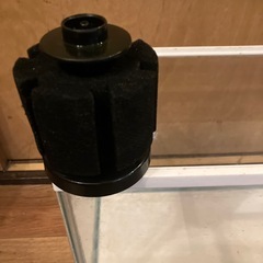 GEX 20ℓ水槽　スポンジフィルター、漆黒砂利付きの画像