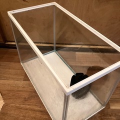 GEX 20ℓ水槽　スポンジフィルター、漆黒砂利付きの画像