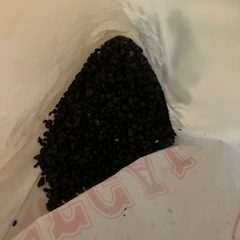 GEX 20ℓ水槽　スポンジフィルター、漆黒砂利付きの画像