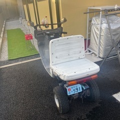 ジャイロキャノピーの画像