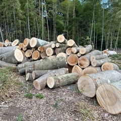 薪　薪ストーブ用の薪の画像