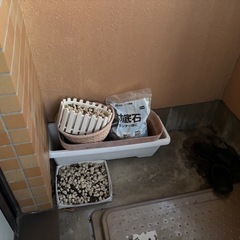 プランター（いくつでも）の画像