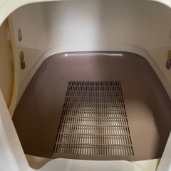 決まりました　
猫　トイレ の画像