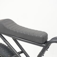 STIC EL36V10 電動アシスト自転車の画像