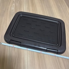 決まりました！わんこレギュラーサイズのトイレの画像