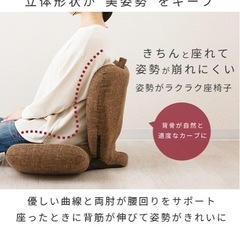 腰楽コンパクト座椅子の画像
