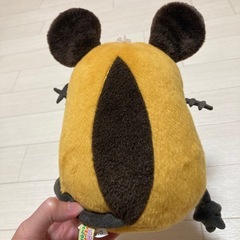 ポケモンデデネの画像