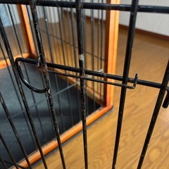 大型犬サークルの画像