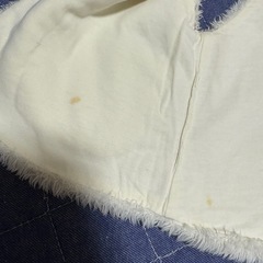 ベビーベスト70サイズの画像