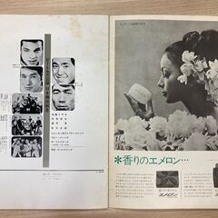 THE BEATLES 1966年日本公演パンフレット(本物)の画像