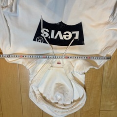 LEVI'S リーバイス メンズ パーカー ロゴプリントの画像