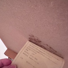 無印良品　パイン材姿見の画像