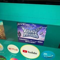 Panasonic パナソニック 49vテレビ 8年前に購入の画像