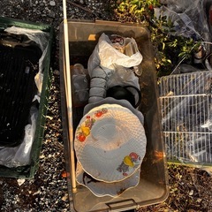 もらってくださいの画像