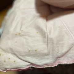 シングル掛け布団中古の画像