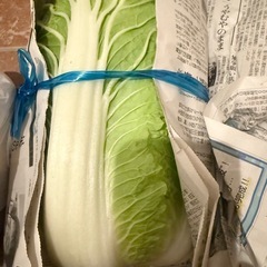 野菜おまとめの画像