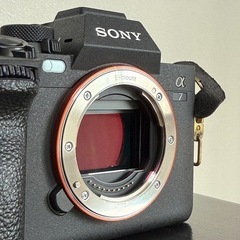  SONY α7Ⅳの画像