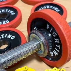 ダンベル60kg（30kg×2）の画像