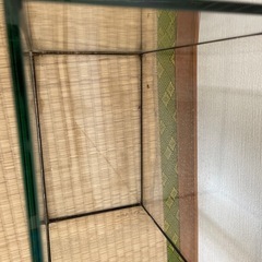 【取引中】水槽×2の画像