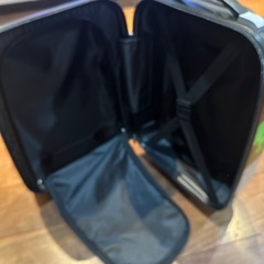 子供用　スーツケース　恐竜の画像