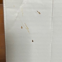 コーヒーミル&デミタスセットの画像