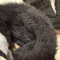 ベビーブーツ リボン付き 黒 10cm〜10.5cmくらいの画像