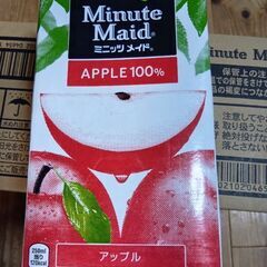 ミニッツメイド一箱(アップル100%1L×6本)の画像