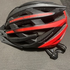 自転車　ヘルメットの画像