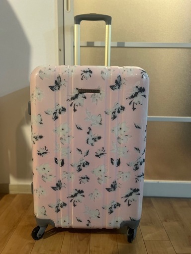 マーキュリーデュオのキャリーケース 66Ｌ