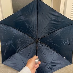 折りたたみ傘　袋なしの画像