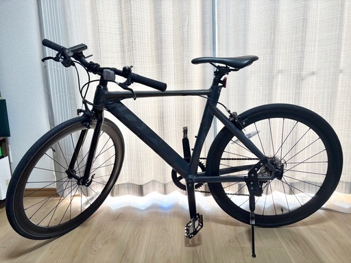 2025年6月新品購入 tern rip サイズ46 burntカラー (ねねねねね) 吉原