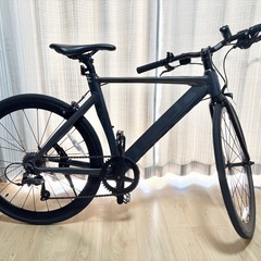 2025年6月新品購入 tern rip サイズ46 burntカラーの画像