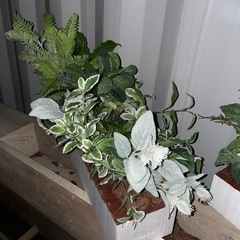 無料　フェイクグリーン　2つの画像