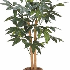 観葉植物 パキラ 高さ90cm フェイクグリーンの画像