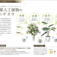 観葉植物 パキラ 高さ90cm フェイクグリーンの画像