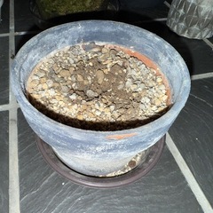 色々無料の画像