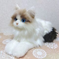 Chongker 猫ぬいぐるみ リアル 本物そっくり ハンドメイド ラグドールの画像