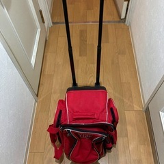 ボウリングバッグの画像