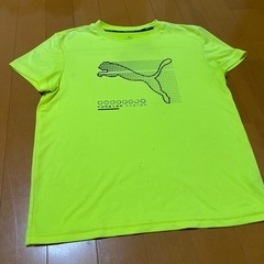 無料！！プーマのTシャツ汚れありの画像