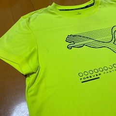 無料！！プーマのTシャツ汚れありの画像