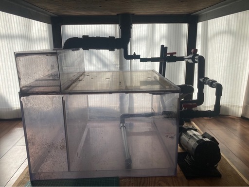 アクリル 大型 水槽 水槽セット 900×900×500 海水魚 珊瑚 飼育