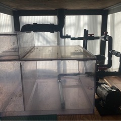 アクリル 大型 水槽 水槽セット 900×900×500 海水魚 珊瑚 飼育の画像