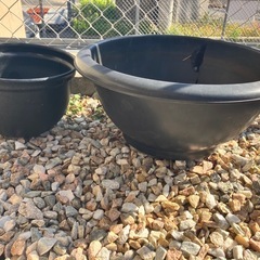 睡蓮鉢＊メダカ鉢差し上げます