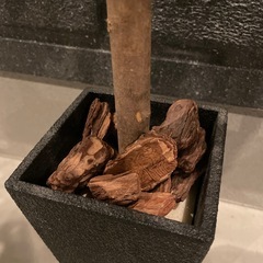 造花造木の画像