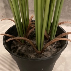 造花造木の画像